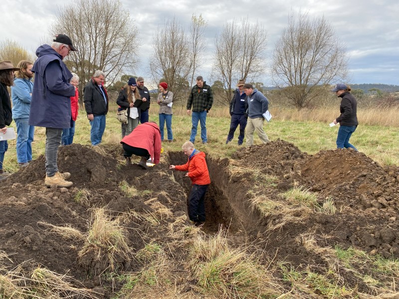 A group of people stand in a paddock around a soil pit. One person is standing in the pit examining the soil.